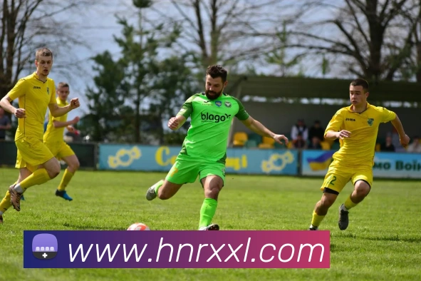 奖项图2